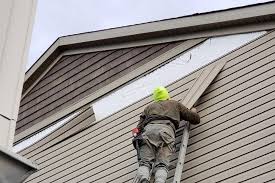 Best Custom Trim and Detailing for Siding  in Coal Grove, OH